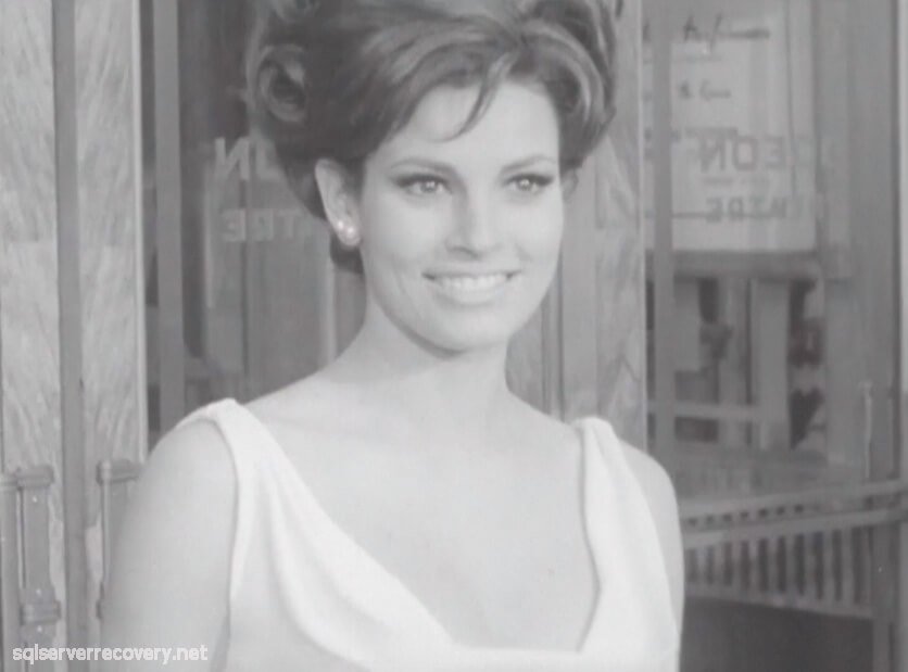 Raquel Welch เสียชีวิตด้วยวัย 82 ปี ราเคล เวลช์ ดาราฮอลลีวูดและ มือระเบิดในตำนาน เสียชีวิตแล้วด้วยวัย 82 ปี นักแสดงและนางแบบชาวอเมริกัน